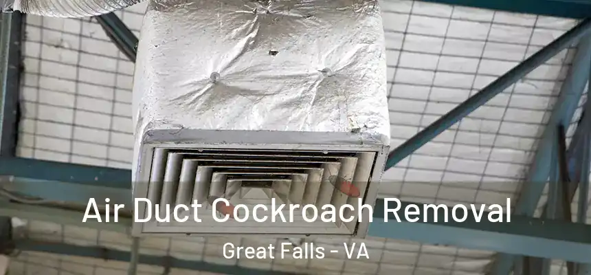  Air Duct Cockroach Removal Great Falls - VA