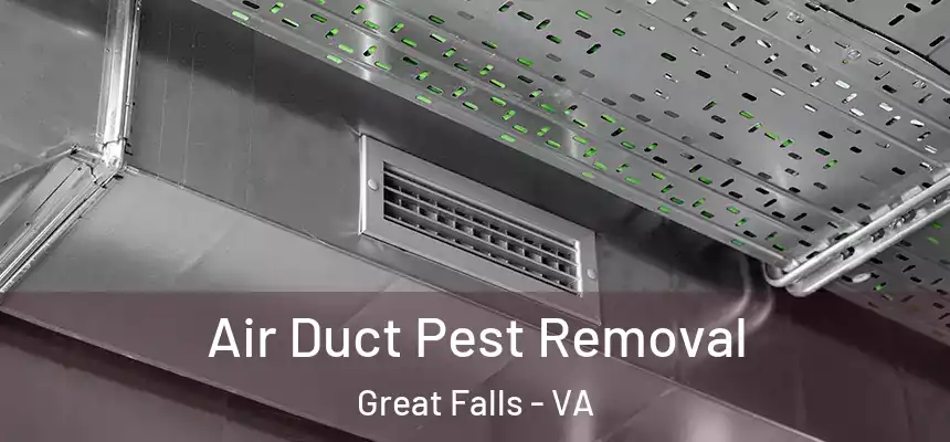  Air Duct Pest Removal Great Falls - VA