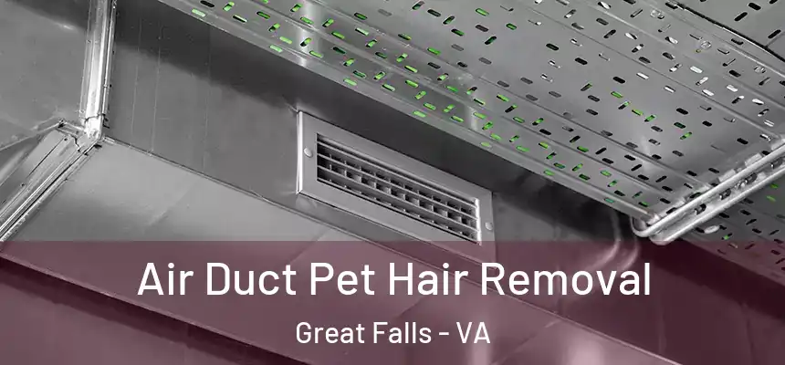  Air Duct Pet Hair Removal Great Falls - VA