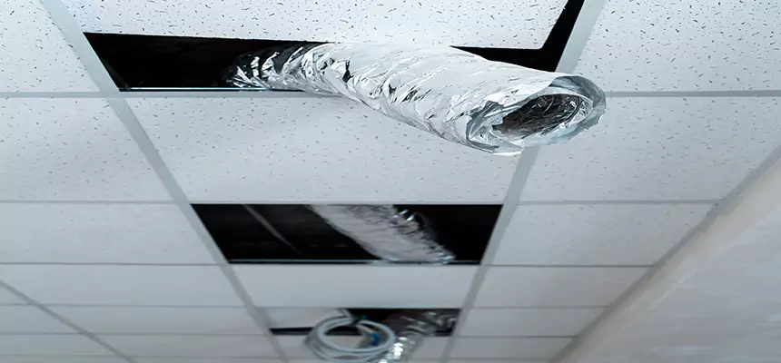 Our Air Duct Pet Hair Removal Services in Great Falls, VA