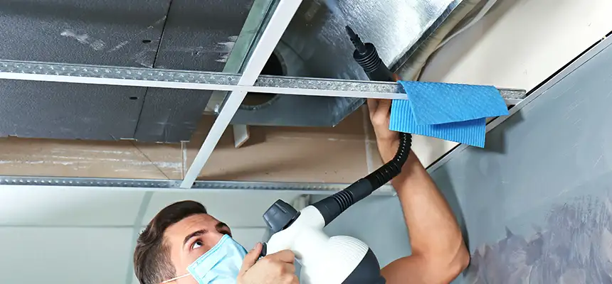 Our Air Duct Rodent Removal Services in Great Falls, VA