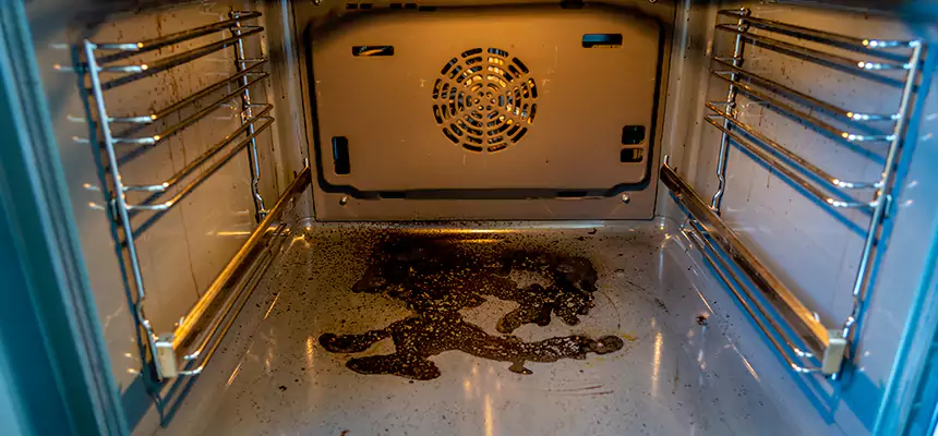 Our Dryer Vent Mold Cleaning Services in Great Falls, VA