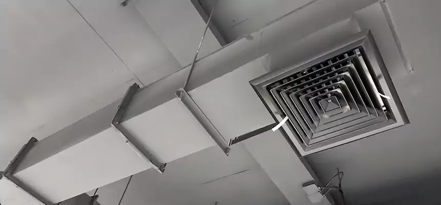 Our Rodent Droppings In Vents Services in Great Falls, VA