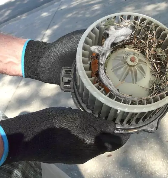 About Air Duct Mice Removal in Great Falls, VA