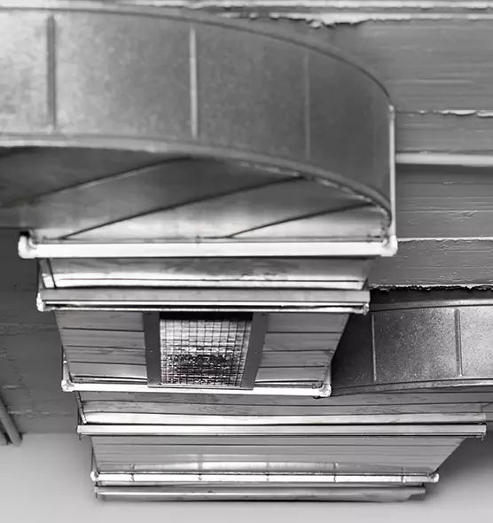 Professional Air Duct Pest Removal in Great Falls, VA