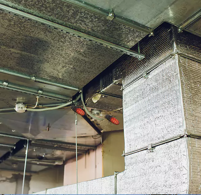 Why Homeowners & Businesses Trust Us in Great Falls, VA?