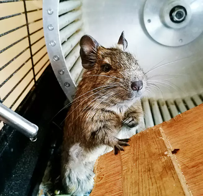 Why Homeowners & Businesses Trust Us Great Falls, VA