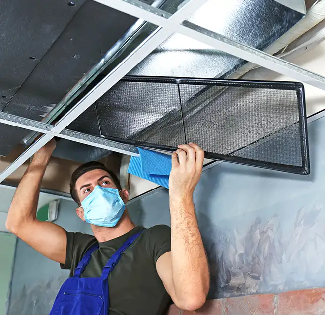 Why Homeowners & Businesses Trust Us in Great Falls, VA?